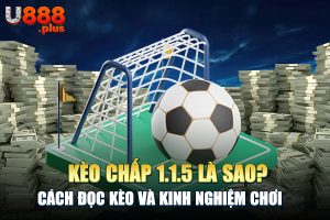 Kèo Chấp 1.1.5 Là Sao? Cách Đọc Kèo Và Kinh Nghiệm Chơi