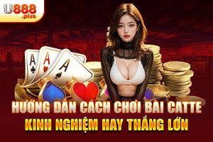 Hướng Dẫn Cách Chơi Bài Catte - Kinh Nghiệm Hay Thắng Lớn