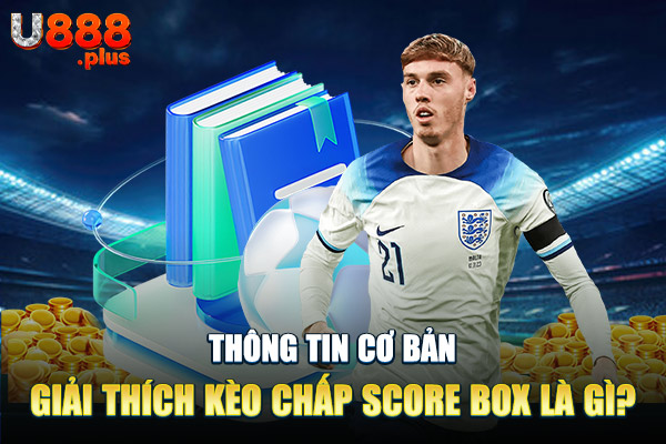 Thông tin cơ bản giải thích kèo chấp score box là gì?